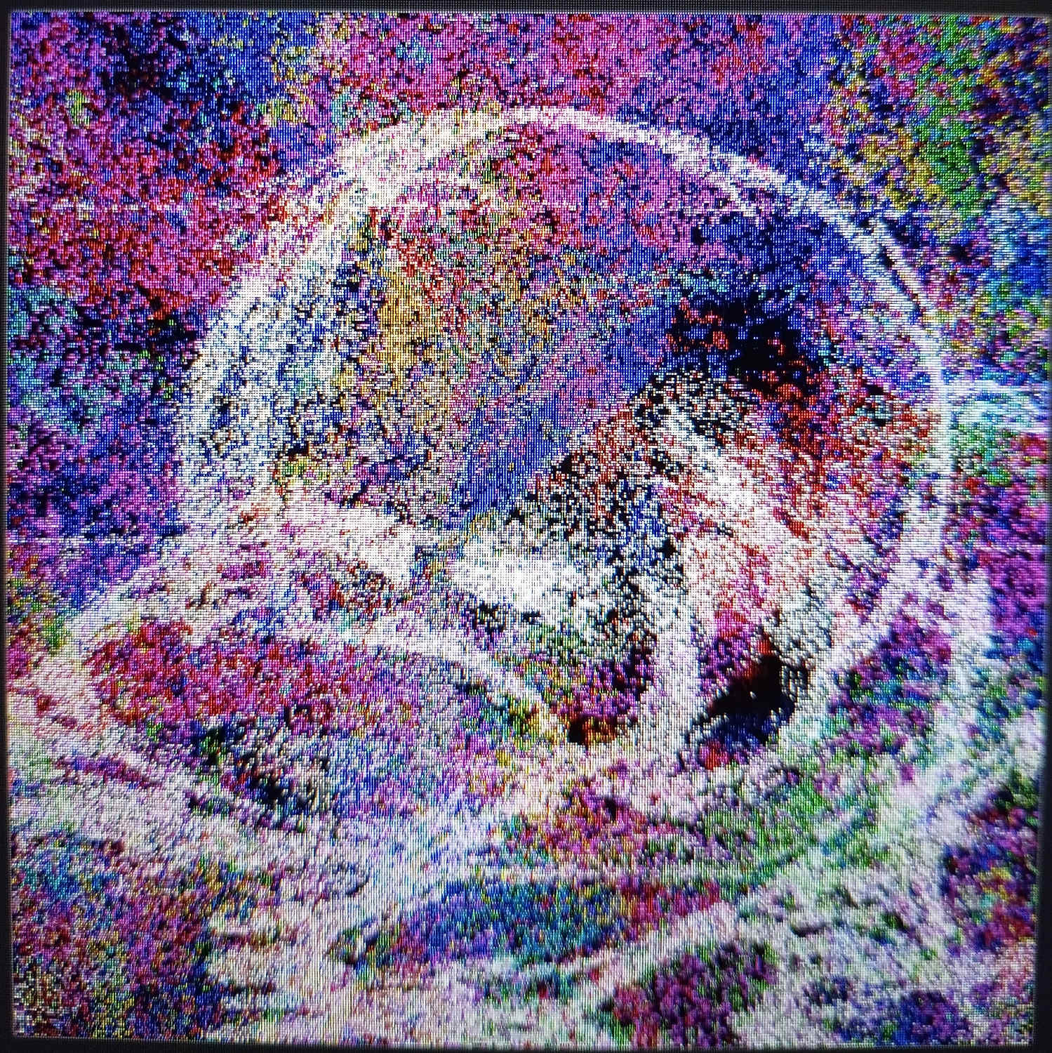 pure colors. something is sleeping here.